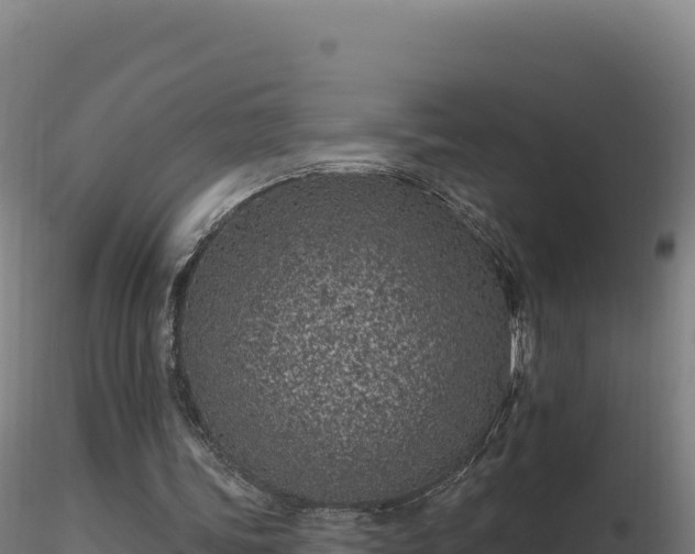X0000116890339200912291308