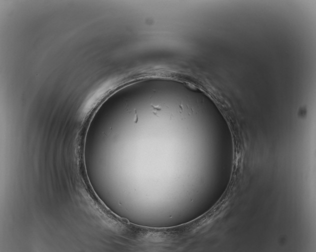 X0000116890341200912291308