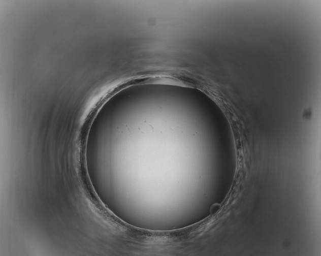 X0000116890342200912291308