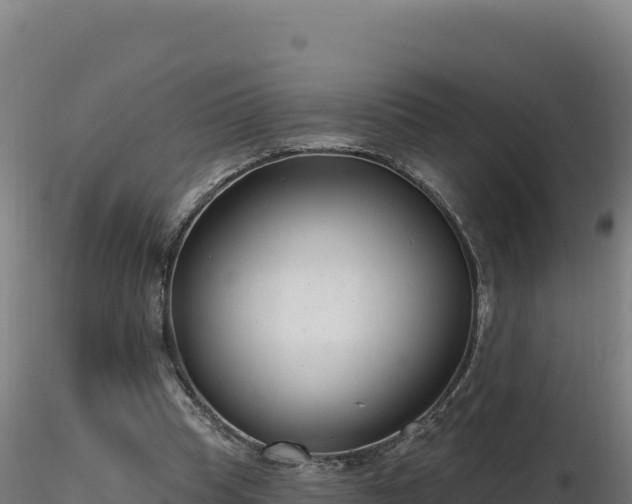 X0000116890345200912291308