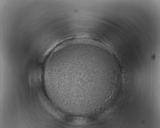 X0000116890347200912291308