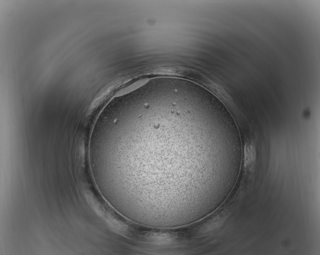 X0000116890349200912291308