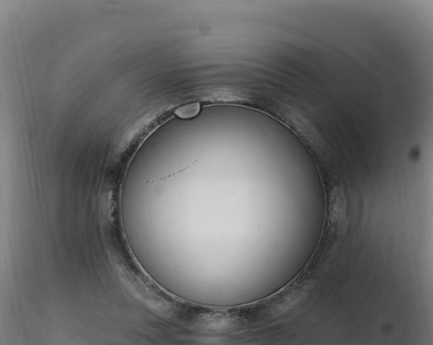 X0000116890351200912291308