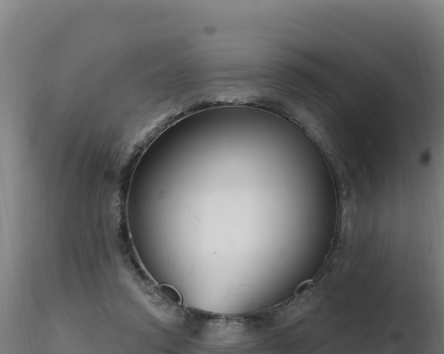 X0000116890354200912291308