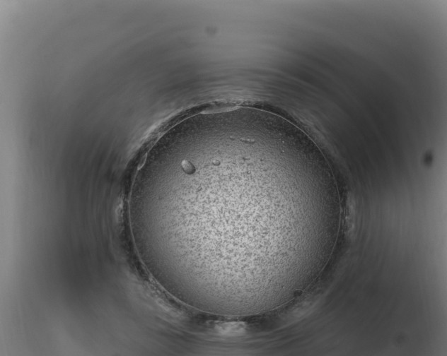 X0000116890355200912291308