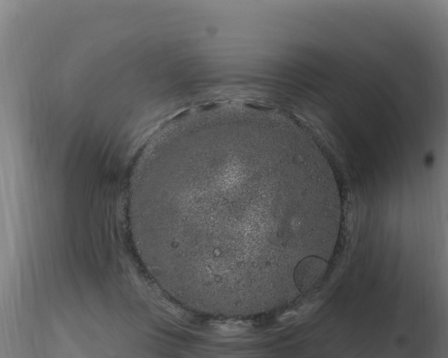 X0000116890359200912291308