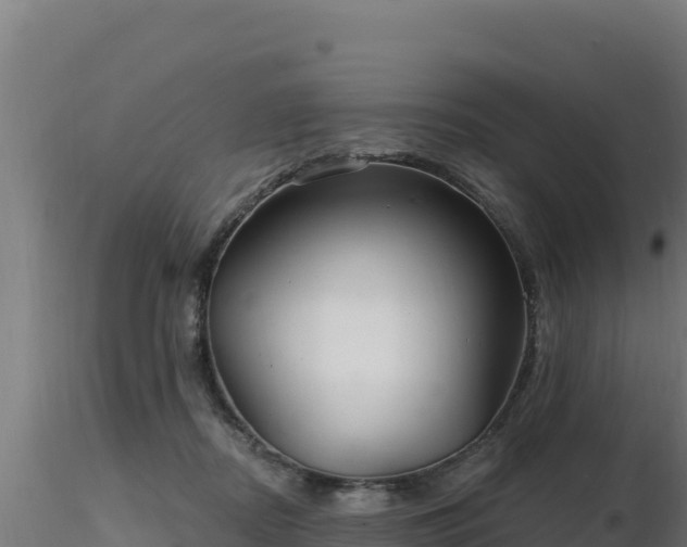 X0000116890362200912291308