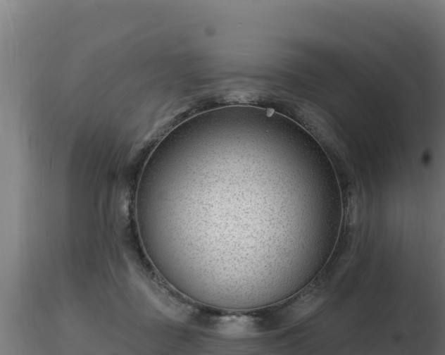X0000116890363200912291308