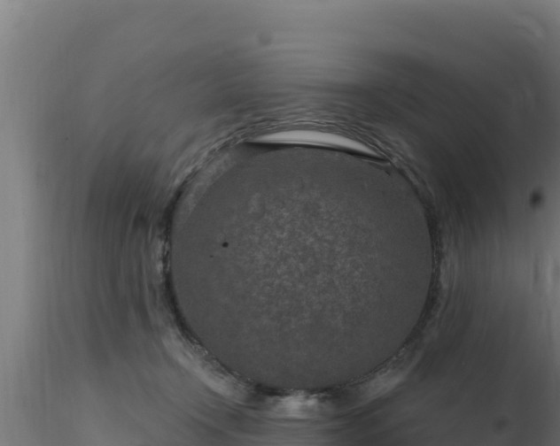 X0000116890366200912291308