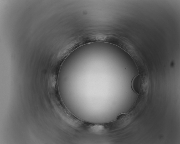 X0000116890374200912291308