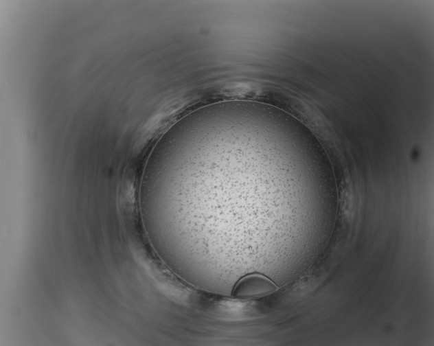 X0000116890375200912291308