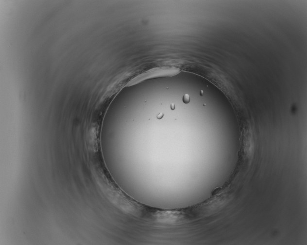 X0000116890378200912291308