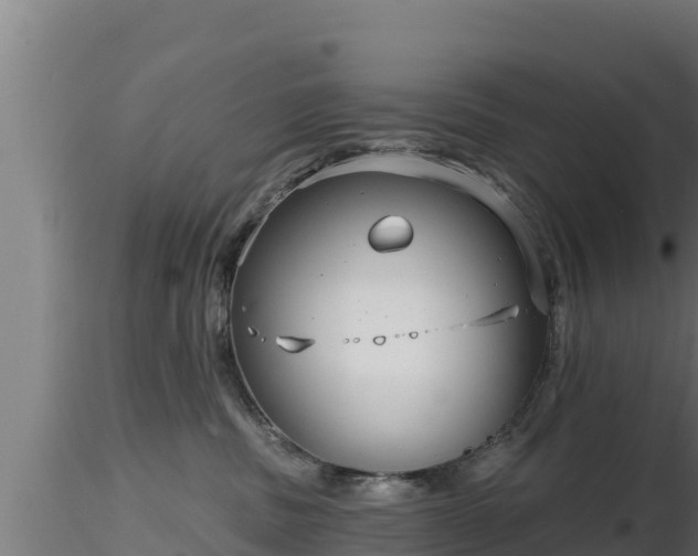 X0000116890379200912291308