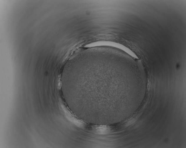 X0000116890383200912291308