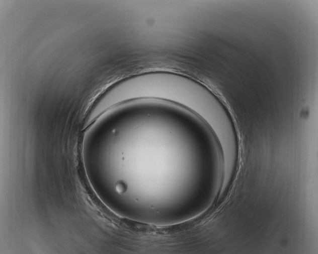 X0000116890386200912291308