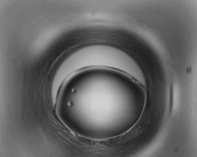 X0000116890387200912291308