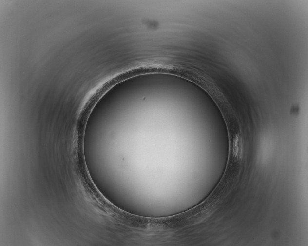 X0000116890388200912291308