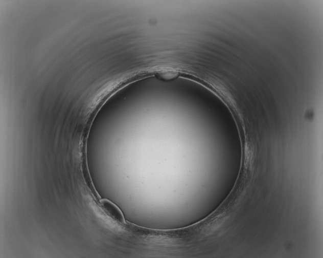 X0000116890389200912291307