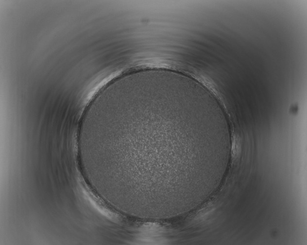 X0000116890390200912291307