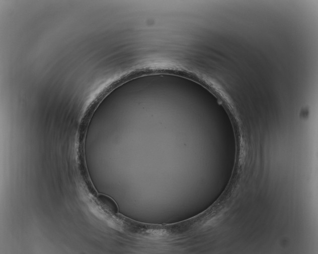 X0000116890391200912291307
