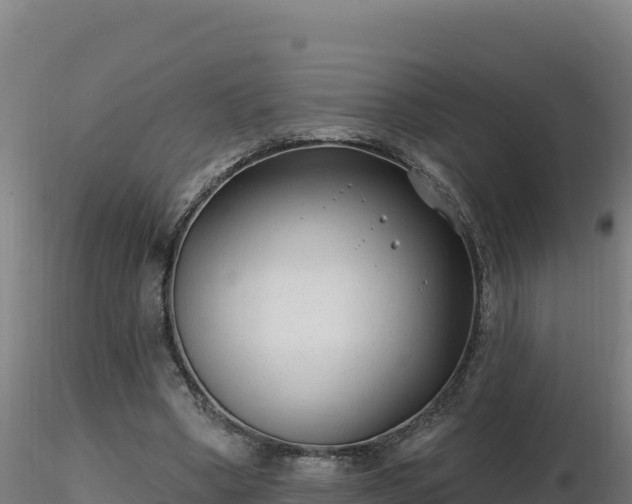 X0000116890394200912291307