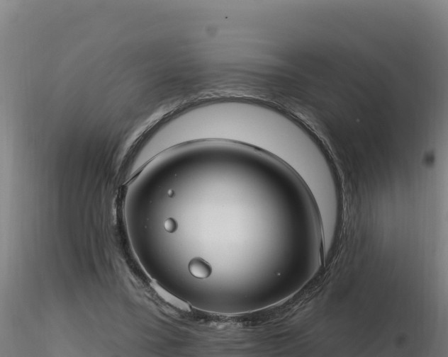 X0000116890395200912291307
