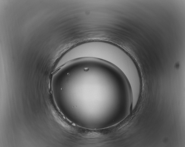 X0000116890397200912291307