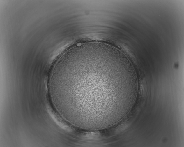 X0000116890398200912291307