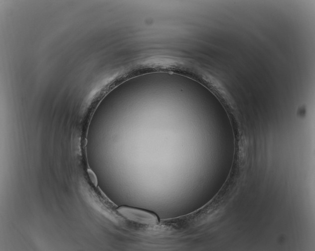X0000116890399200912291307