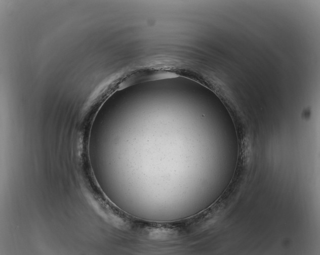 X0000116890400200912291307
