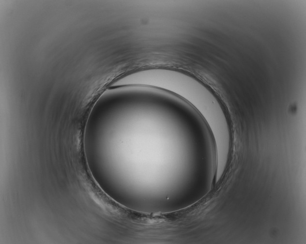 X0000116890401200912291307