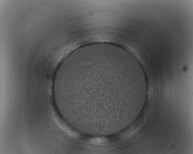 X0000116890402200912291307