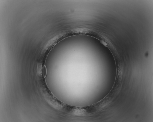 X0000116890403200912291307