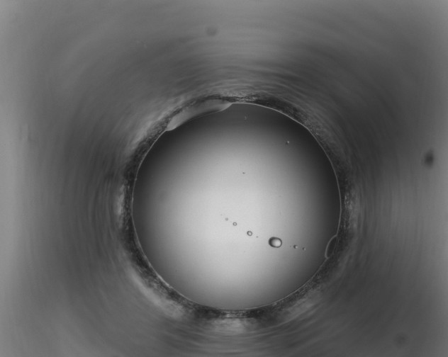 X0000116890404200912291307