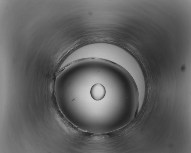 X0000116890405200912291307