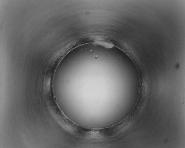 X0000116890406200912291307