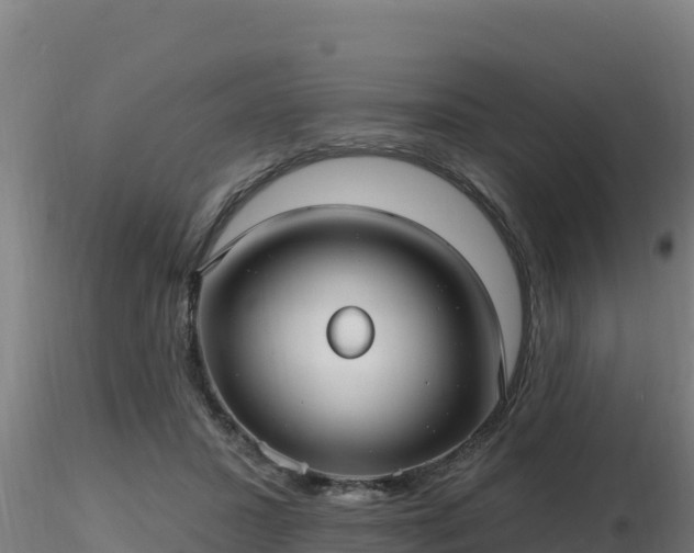 X0000116890407200912291307