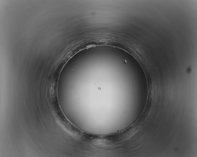 X0000116890408200912291307