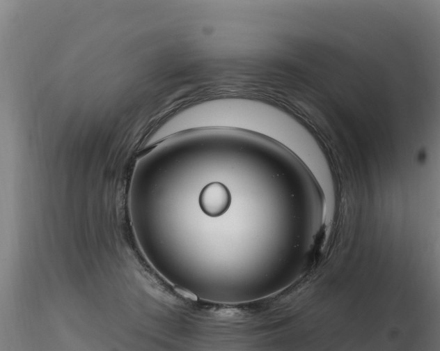 X0000116890409200912291307