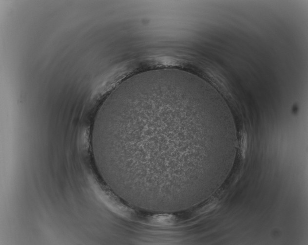 X0000116890410200912291307