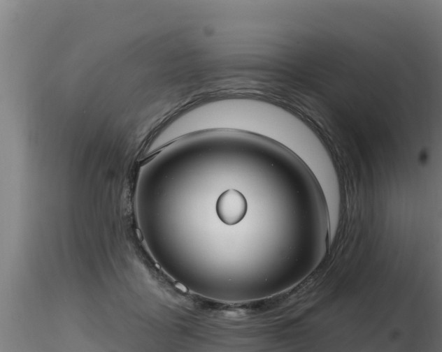 X0000116890411200912291307