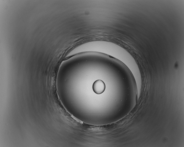 X0000116890417200912291307