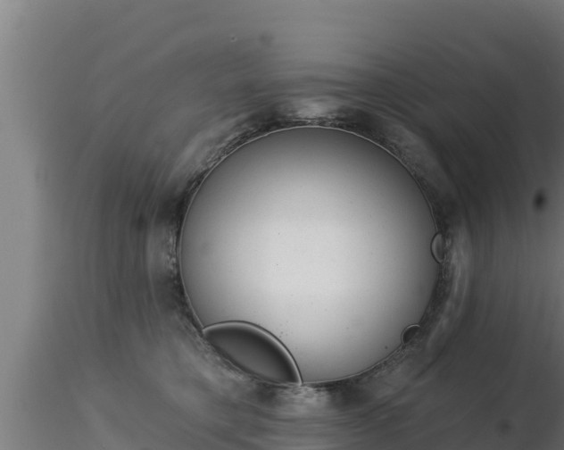 X0000116890421200912291307