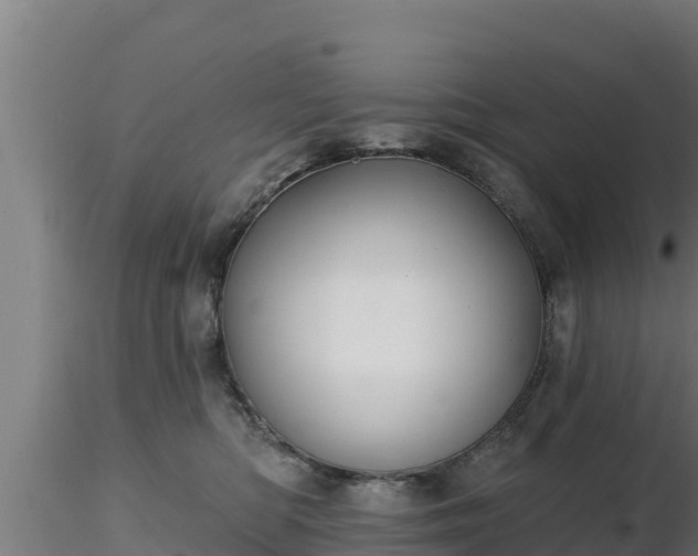 X0000116890422200912291307