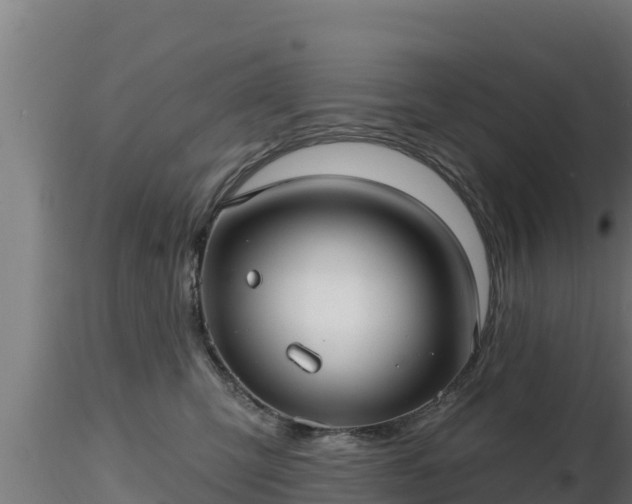 X0000116890423200912291307