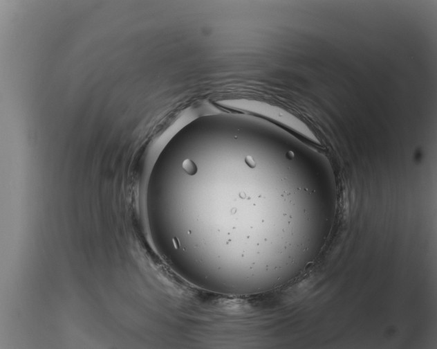 X0000116890424200912291307