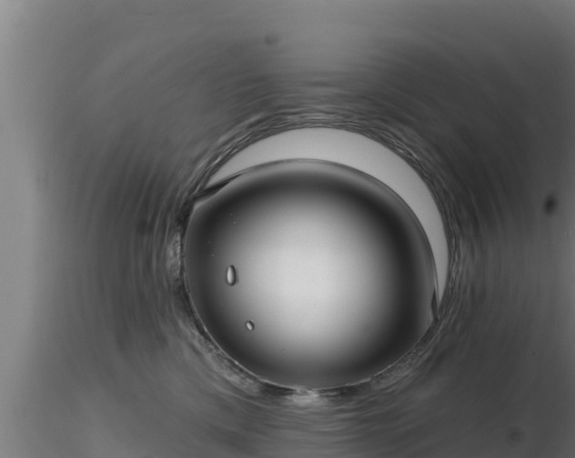 X0000116890425200912291307