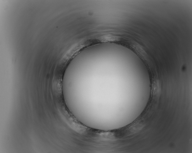 X0000116890426200912291307