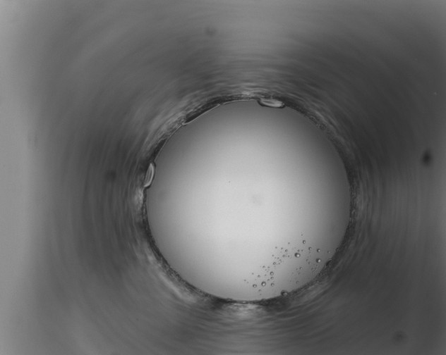 X0000116890427200912291307