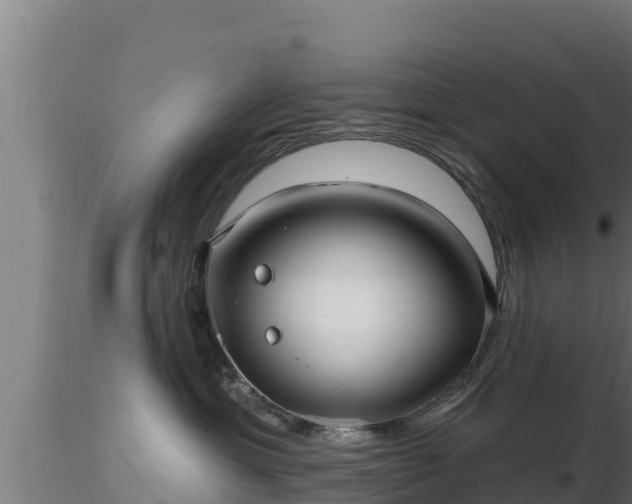 X0000116890429200912291307